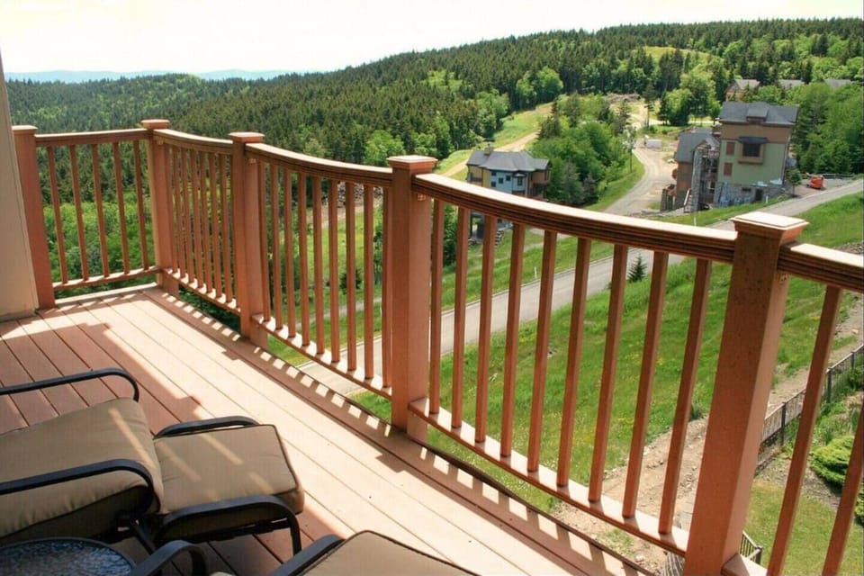 Summer view from deck.