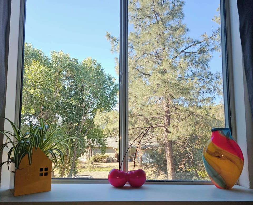 An authentic house plant! Bright and colorful art, and a rainbow swirl vase.