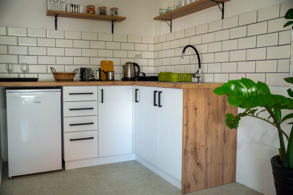 Kitchen including a fridge with a freezer, toaster, induction stove, kettle