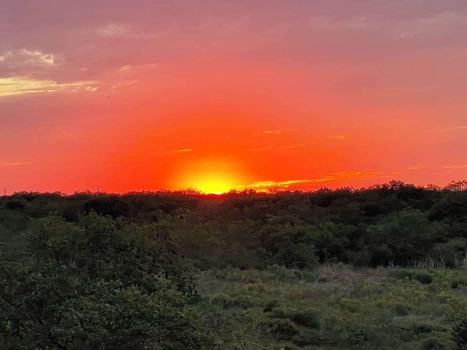 IMG 3744