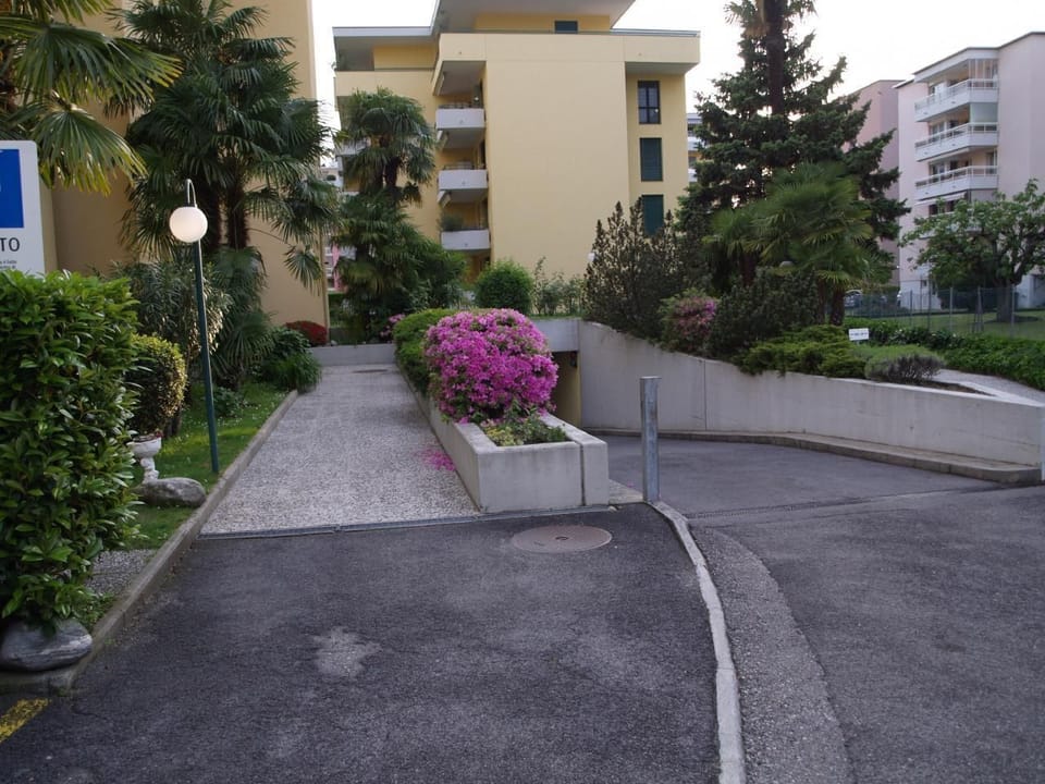 Picture 4