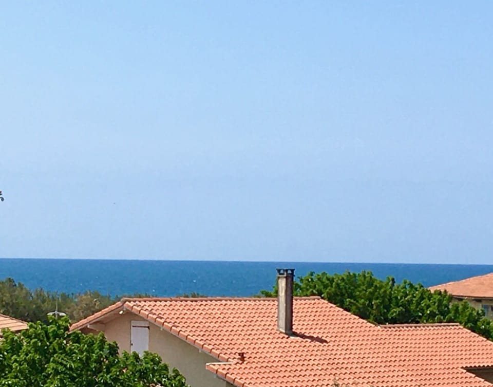 Beach/ocean view