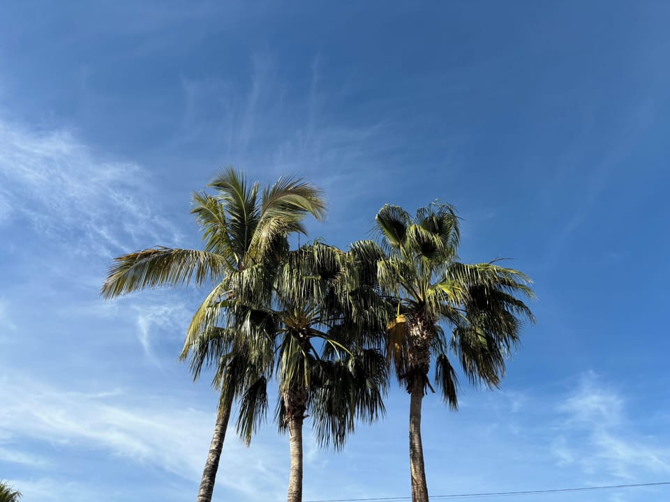 Cabo has the clearest days, the best photos!