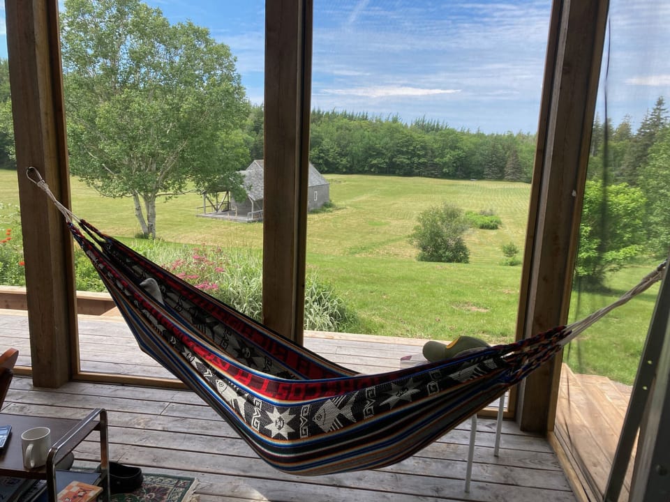 Hammock in screened-in porch