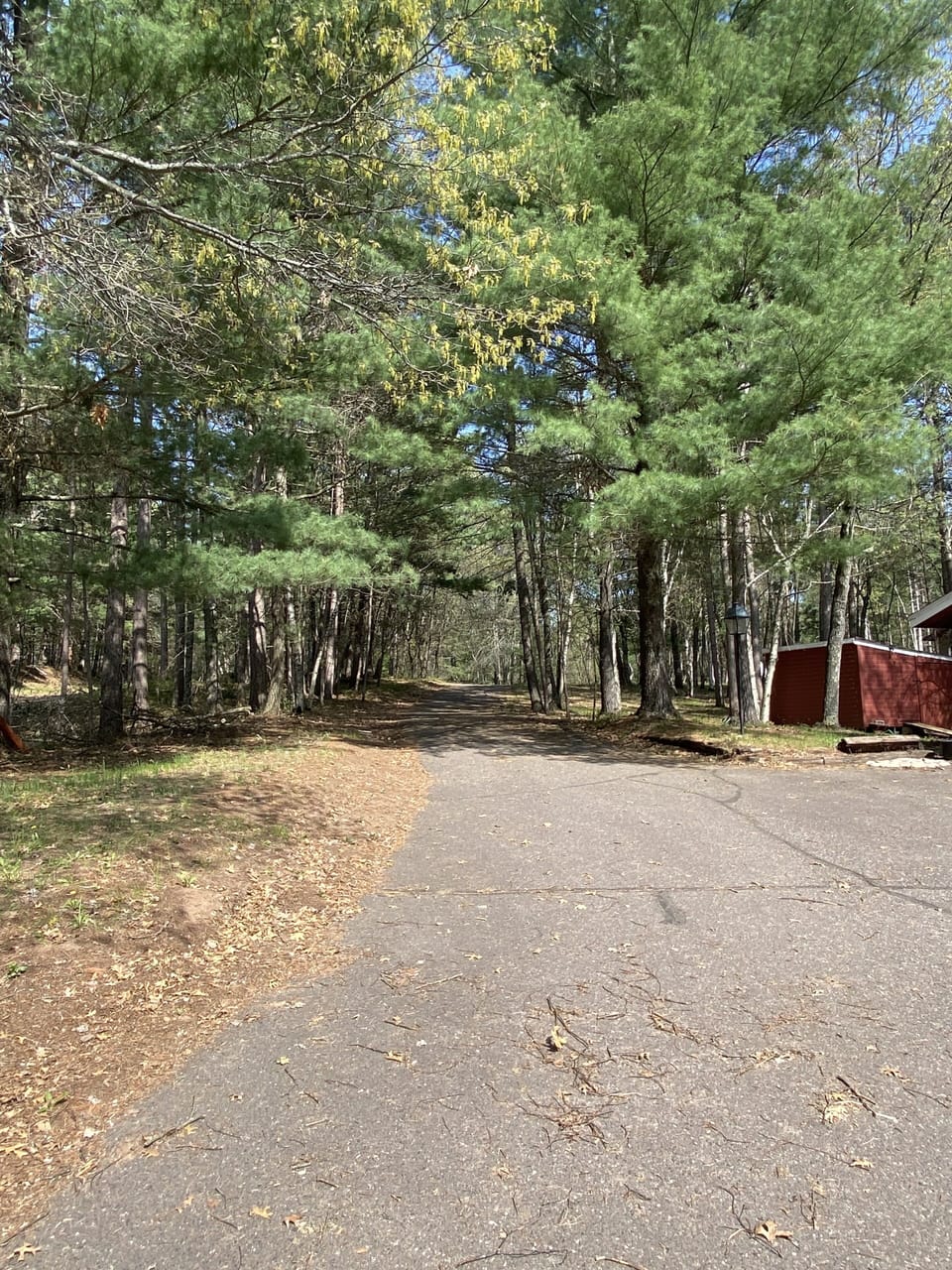 Tree lined quiet driveway.