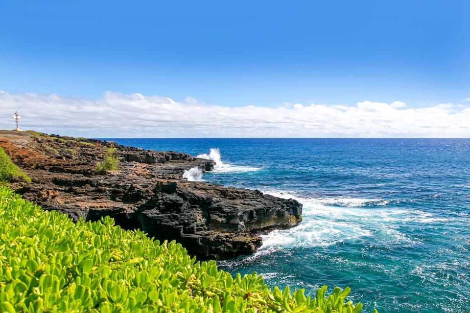 Ocean view (3)