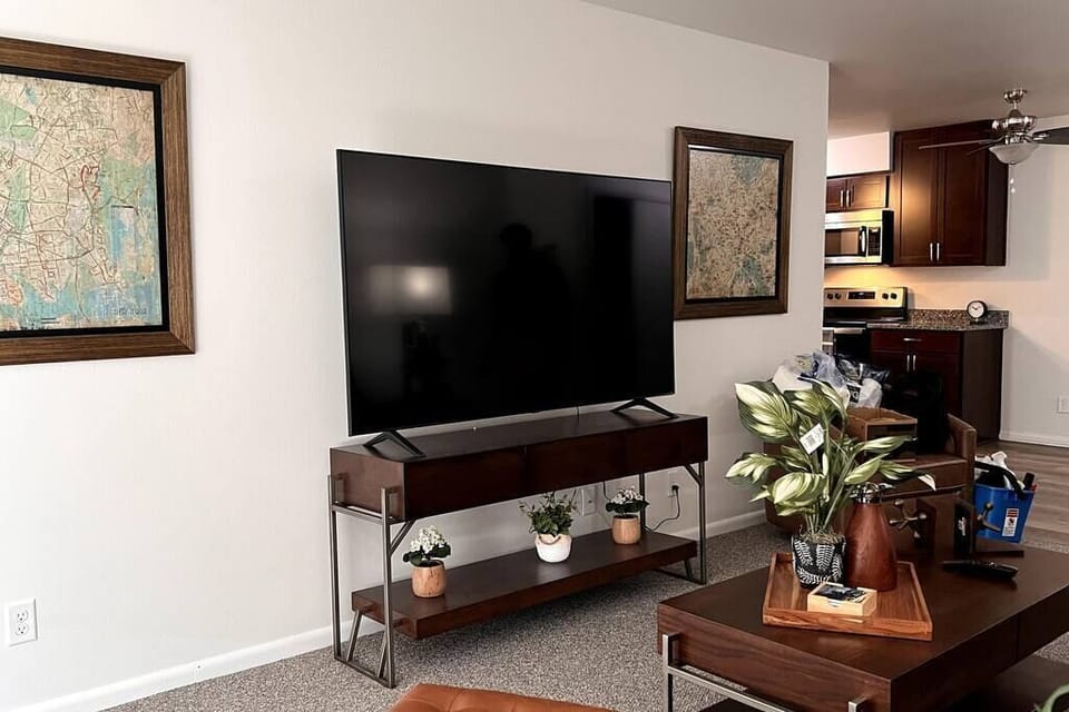 Living Area with new 65' HDTV