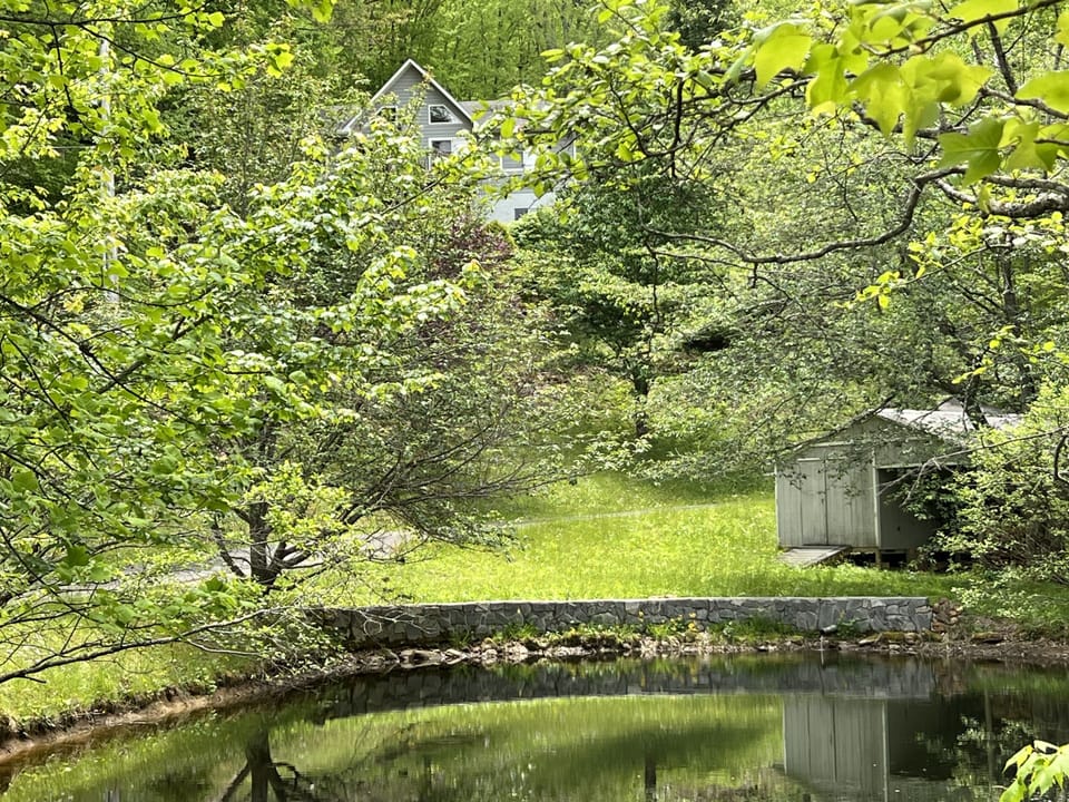 Private pond on the property 