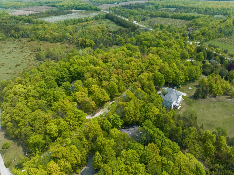 Aerial view of the property