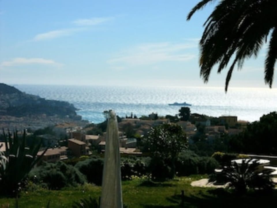 Beach/ocean view