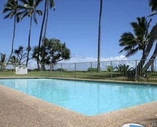 The pool 