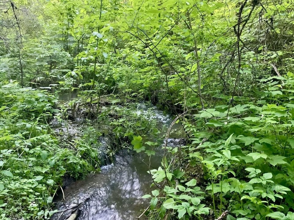 Peaceful seasonal creek on the property grounds near Silverwood Theme Park.