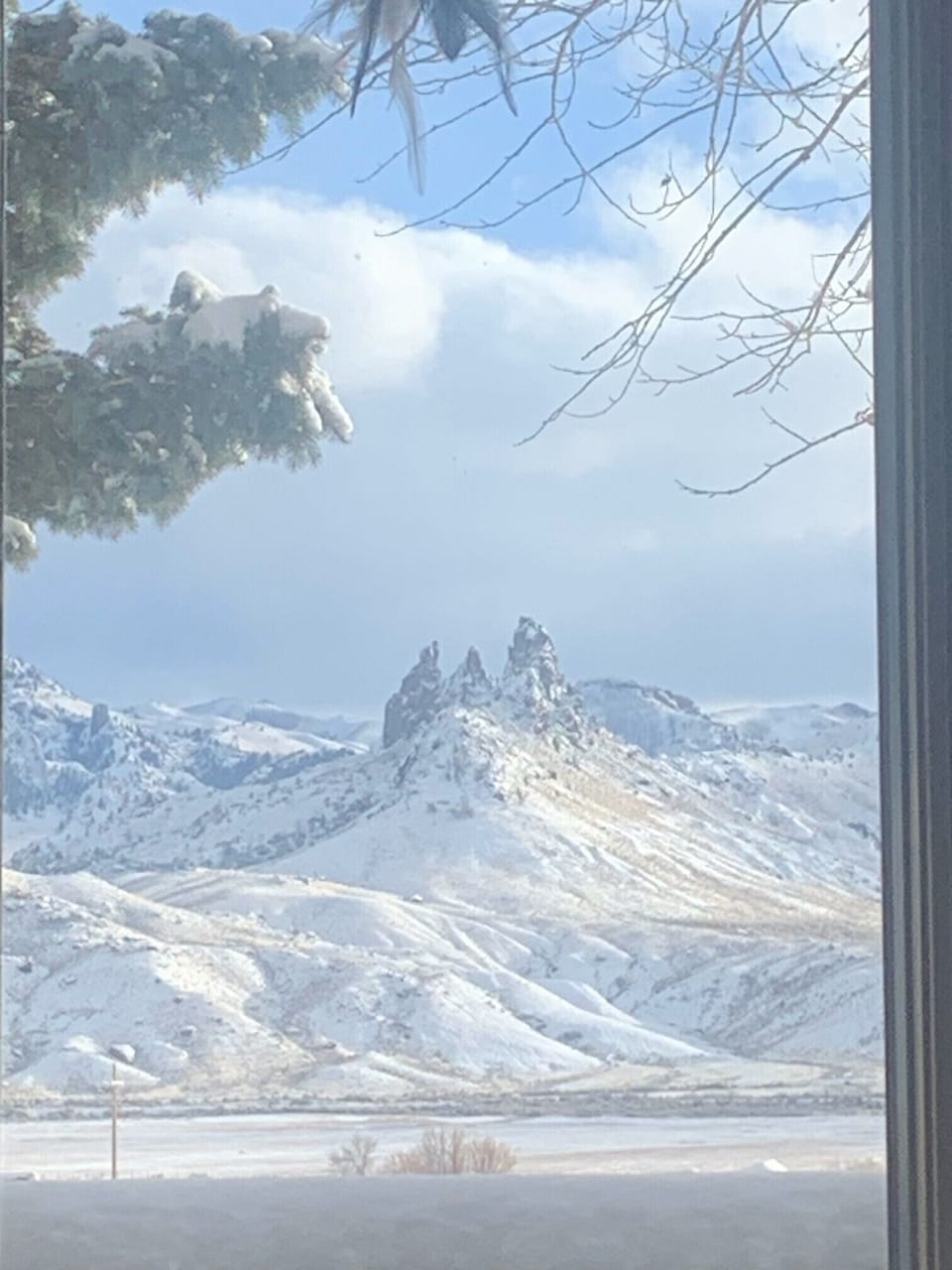 View from property