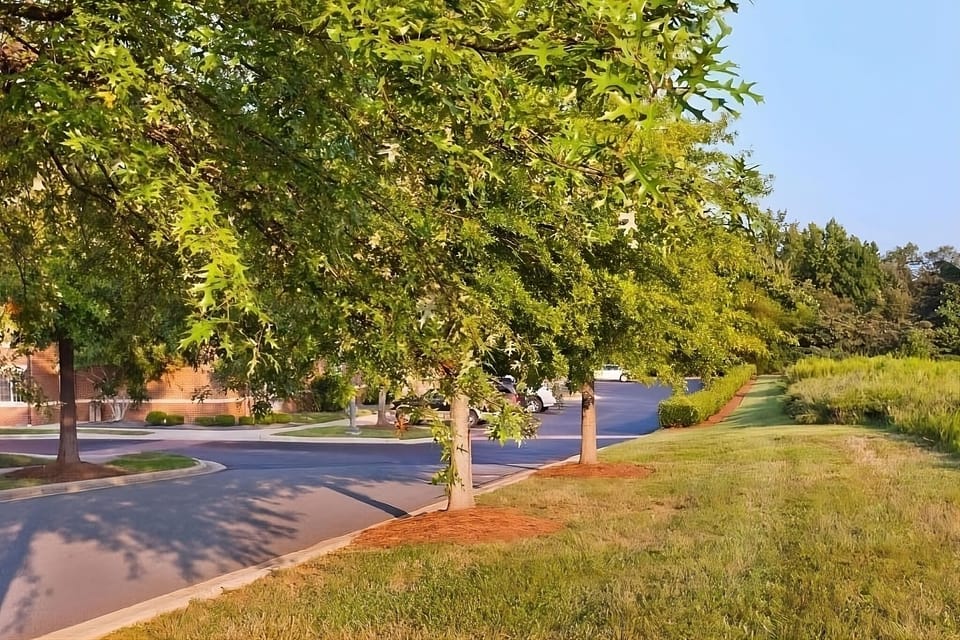 Arrive with ease in a quiet, tree-lined area near everything.