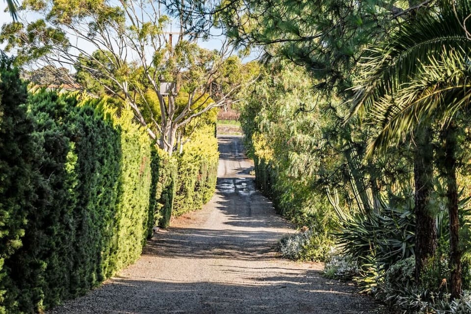 Whether it`s a stroll down the tree-lined driveway or exploring the nearby trails, the setting encourages movement and appreciation of the outdoors. The soft crunch of gravel underfoot and birdsong in the air enhance the timeless, tranquil experience.