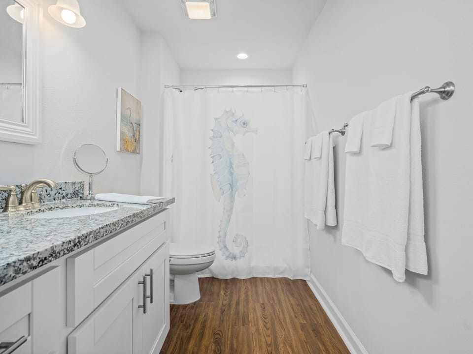 Primary Bathroom Shower