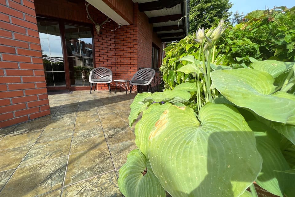 Patio / Balcony