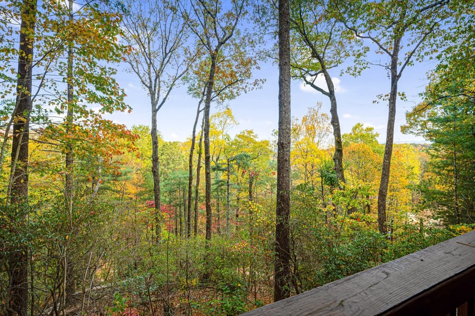 The tall trees provide the perfect setting for a cozy getaway.