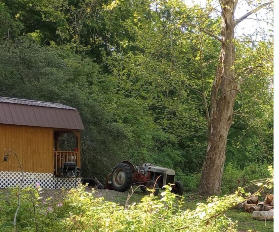 The cabin across the pond.