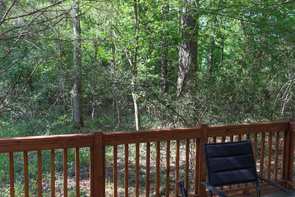 TCCR_C21_interior_230523_8