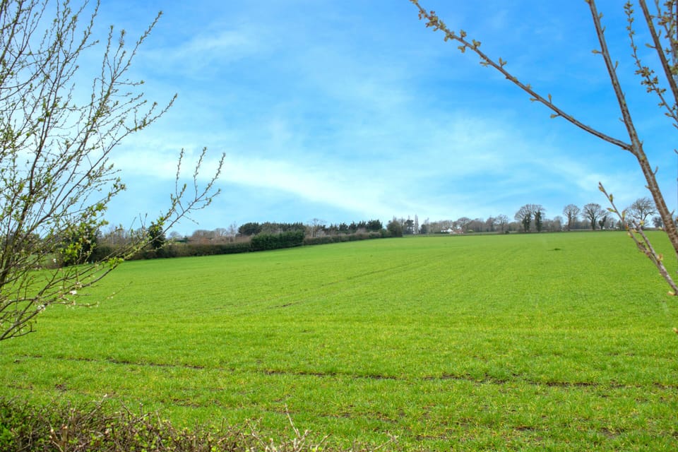 Outdoor View