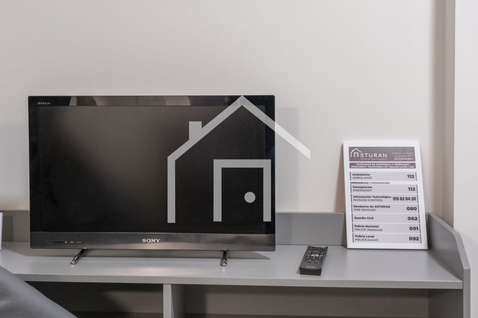 Television