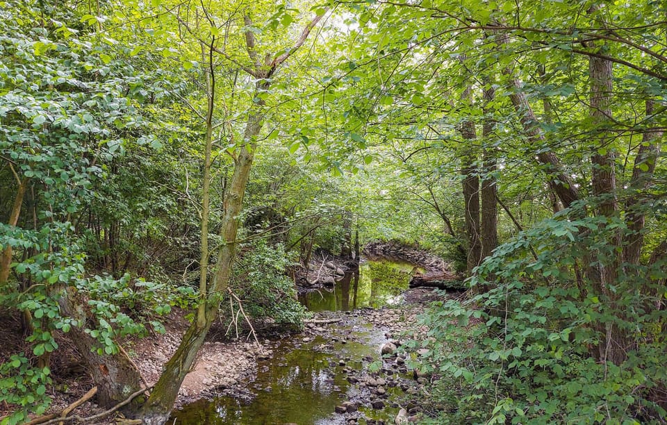 area