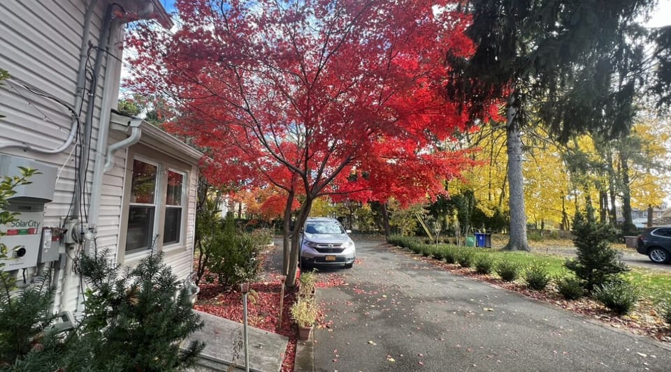 Private free driveway and parking 