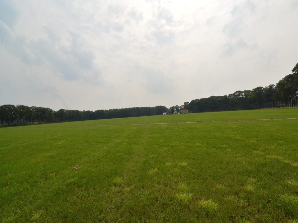 View from Holiday Home [summer]