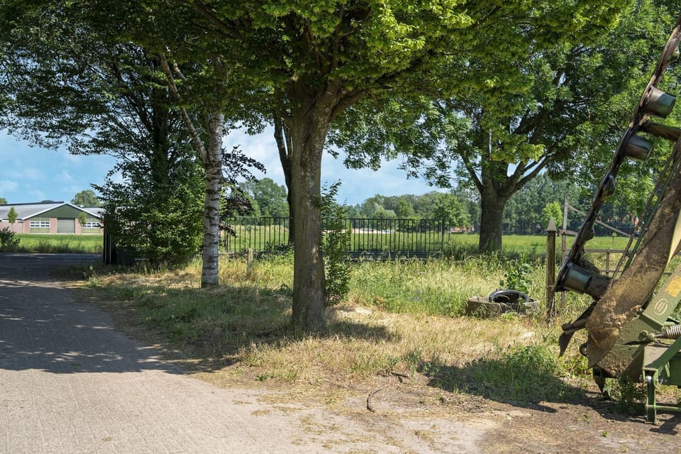 Immediate Surroundings [summer] (<1 km)