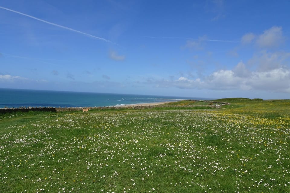 Immediate Surroundings [summer] (<1 km)