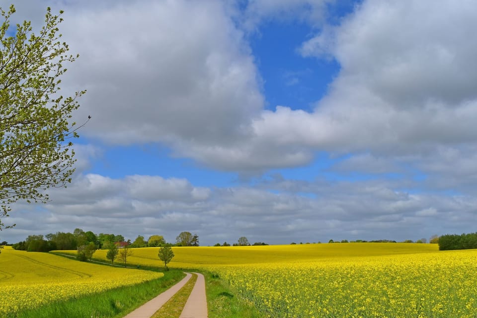 Immediate Surroundings [summer] (<1 km)