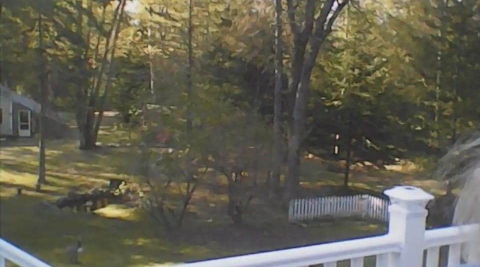 view from upper deck