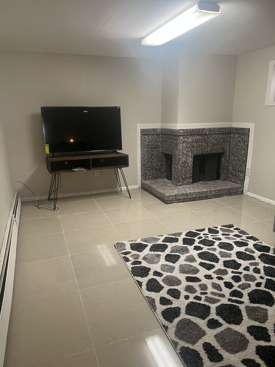 Basement living rooms 