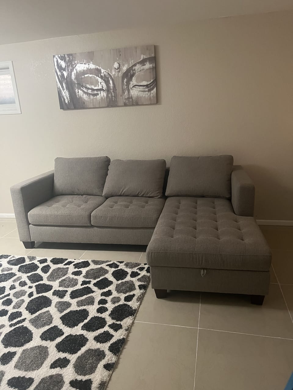 Basement living rooms 