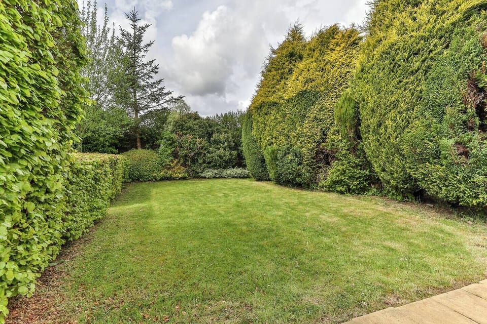 Back garden