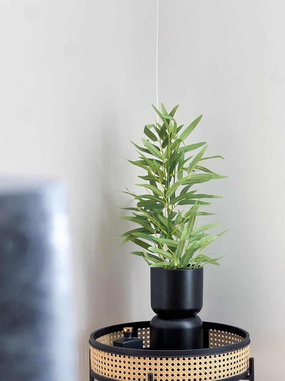 Decoration (5)