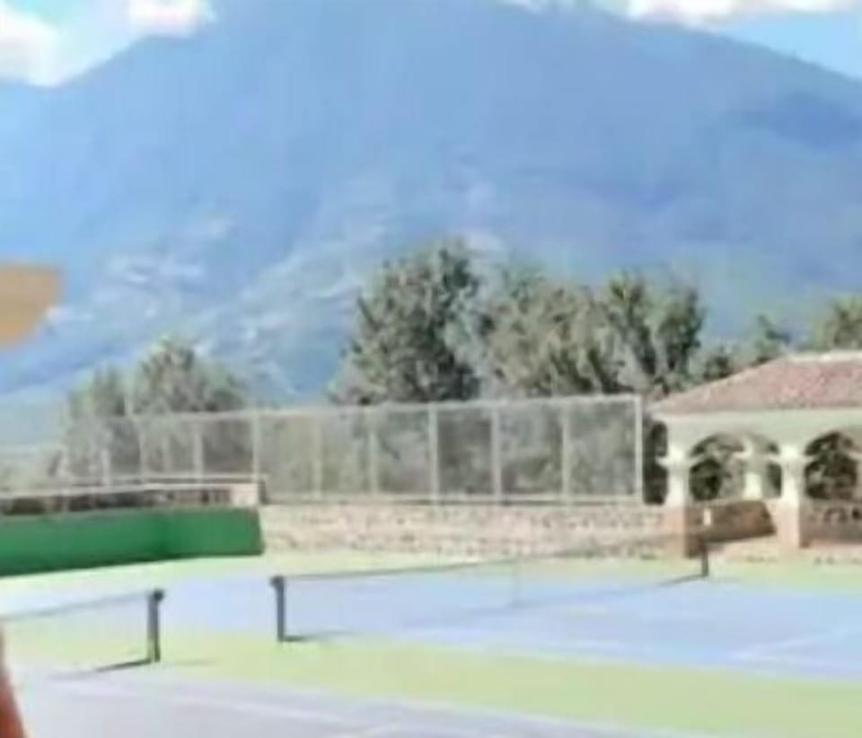 Sport court