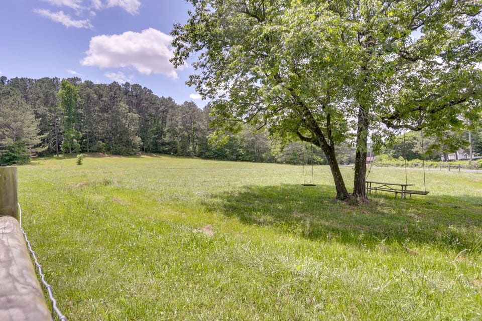 Picnic Table | Tree Swings
