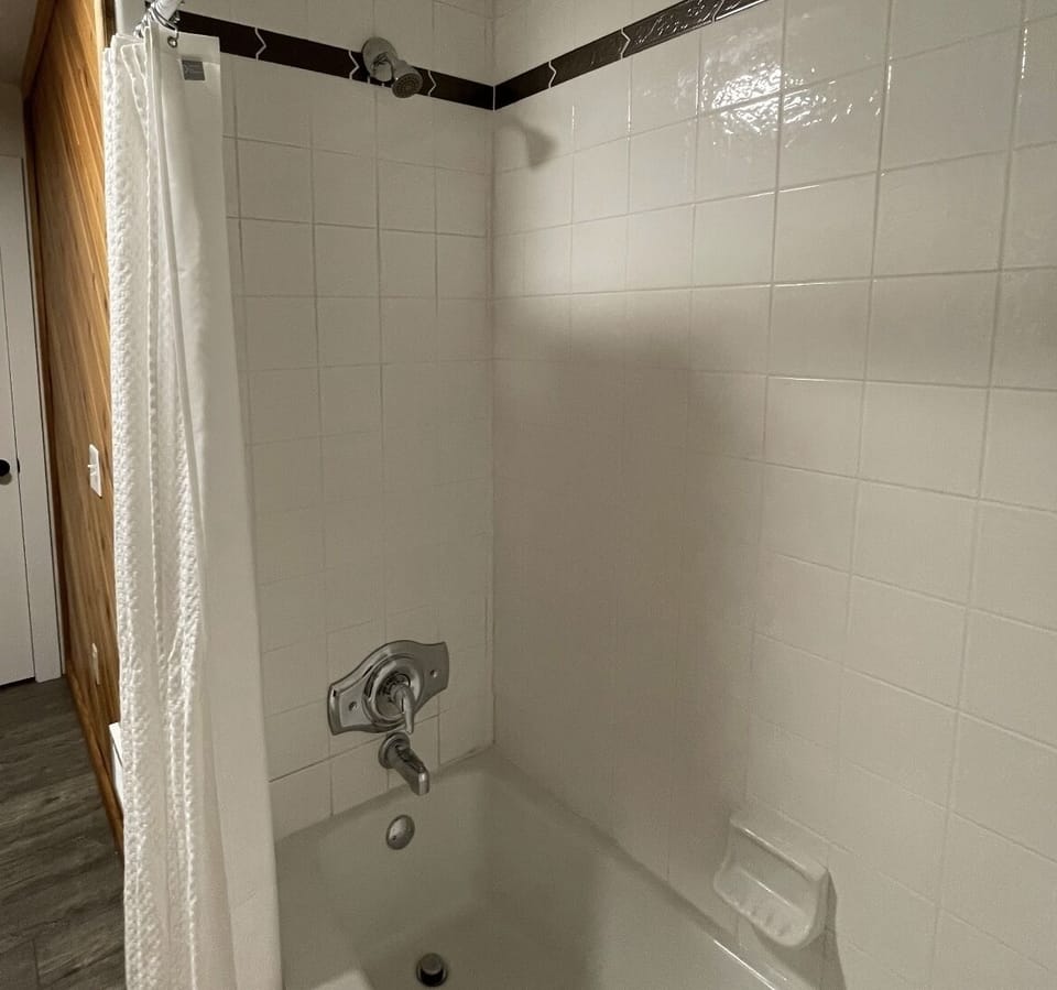 Guest shower/bath