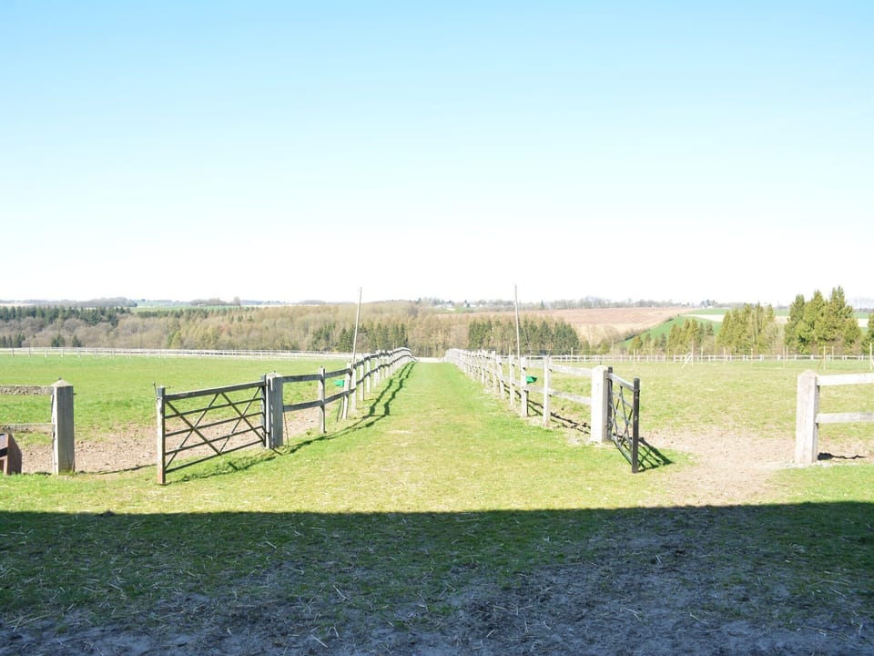 View from Holiday Home [summer]
