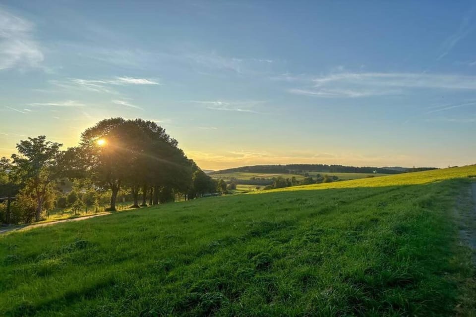 Region [summer] (>5 km)