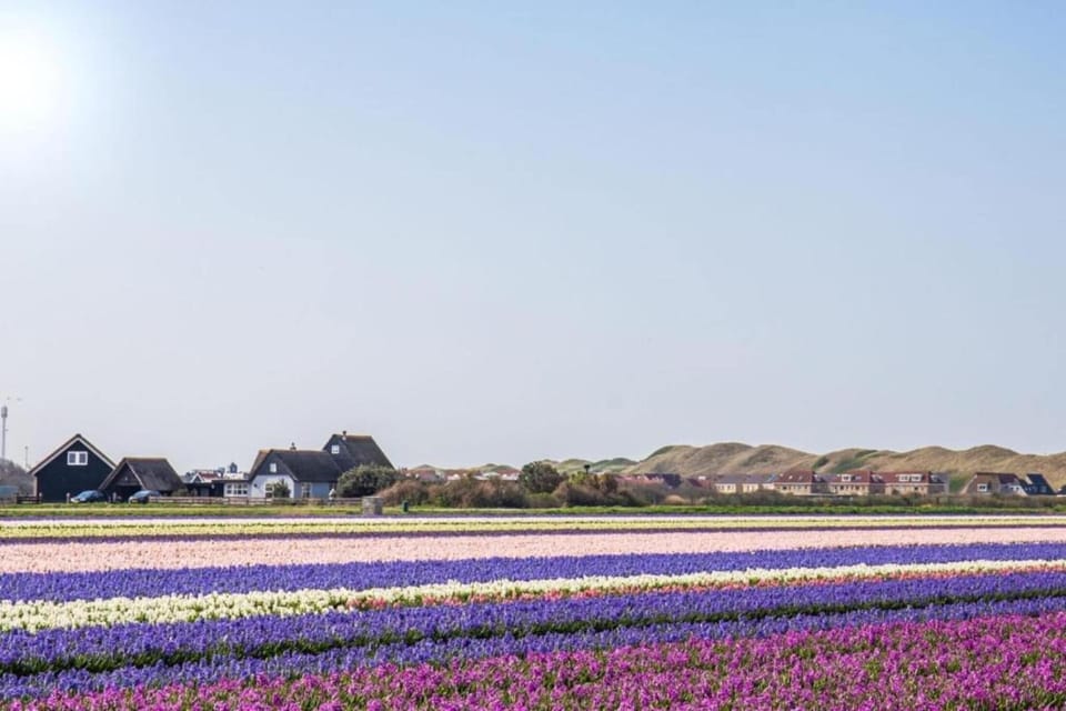 Surroundings [summer] (1-5 km)