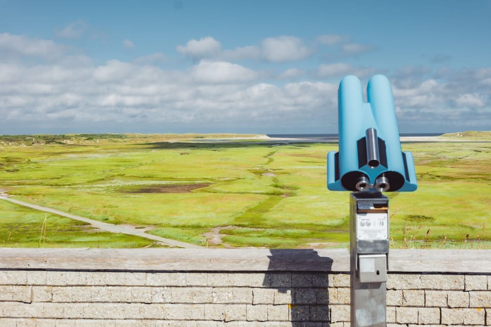 Immediate Surroundings [summer] (<1 km)