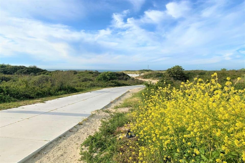 Region [summer] (>5 km)