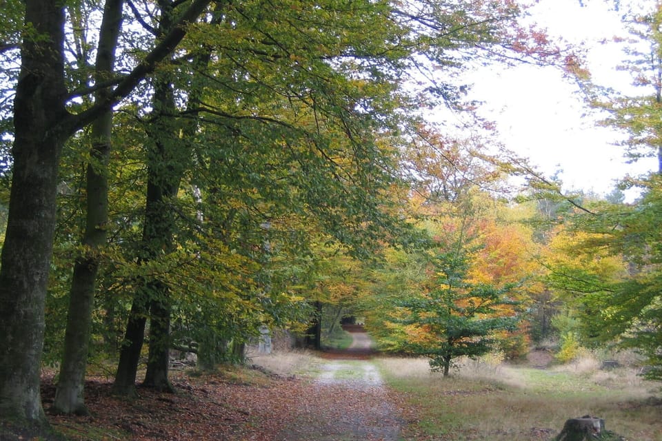 Holiday Park Facilities and Services 