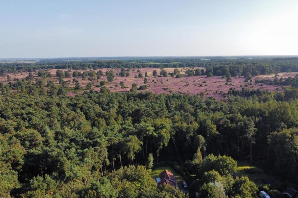 Region [summer] (>5 km)