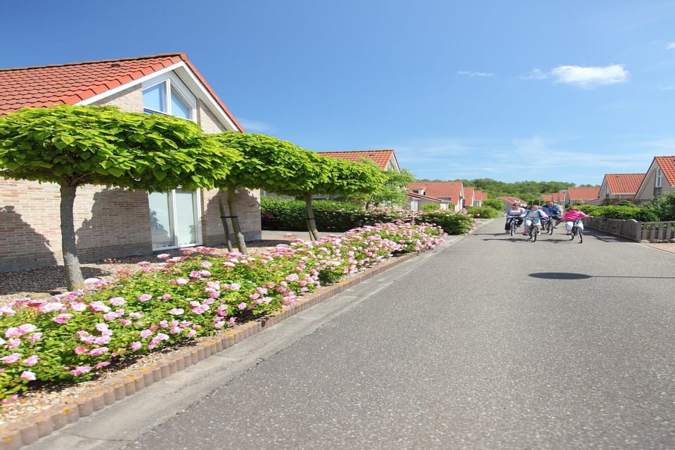 Immediate Surroundings [summer] (<1 km)