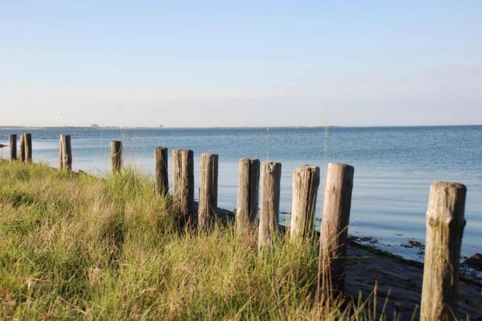Surroundings [summer] (1-5 km)