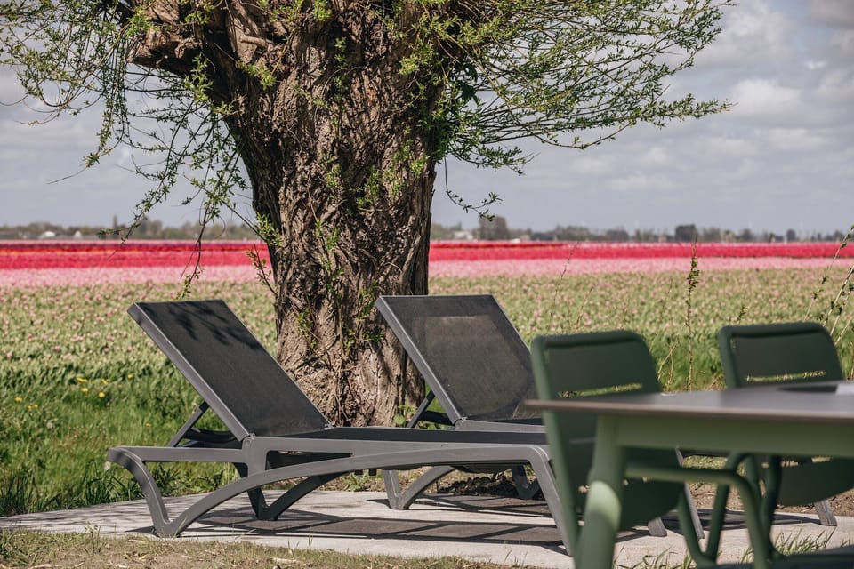 Immediate Surroundings [summer] (<1 km)